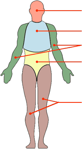 Body Map